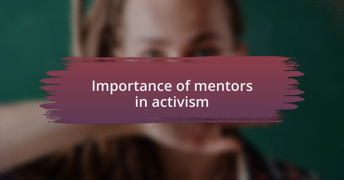 Importance of mentors in activism