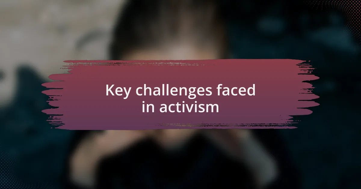 Key challenges faced in activism