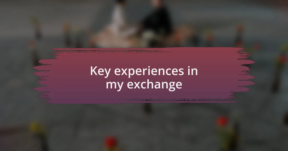Key experiences in my exchange