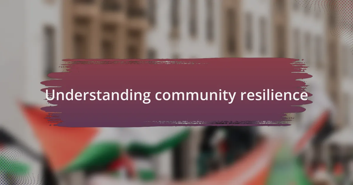 Understanding community resilience